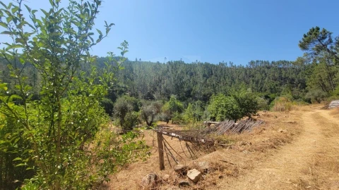 Terreno Agricola ou Rústico para Venda em Sarzedas