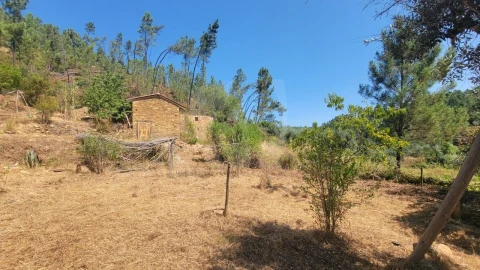 Terreno Agricola ou Rústico para Venda em Sarzedas