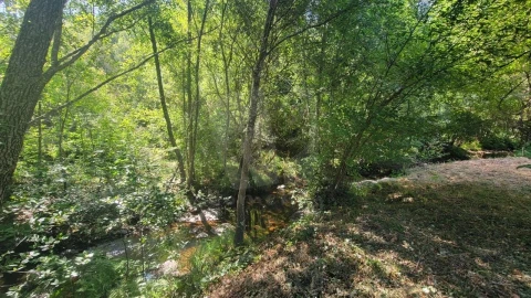 Terreno Agricola ou Rústico para Venda em Sarzedas