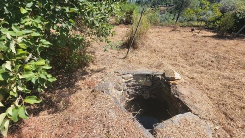 Terreno Agricola ou Rústico para Venda em Sarzedas