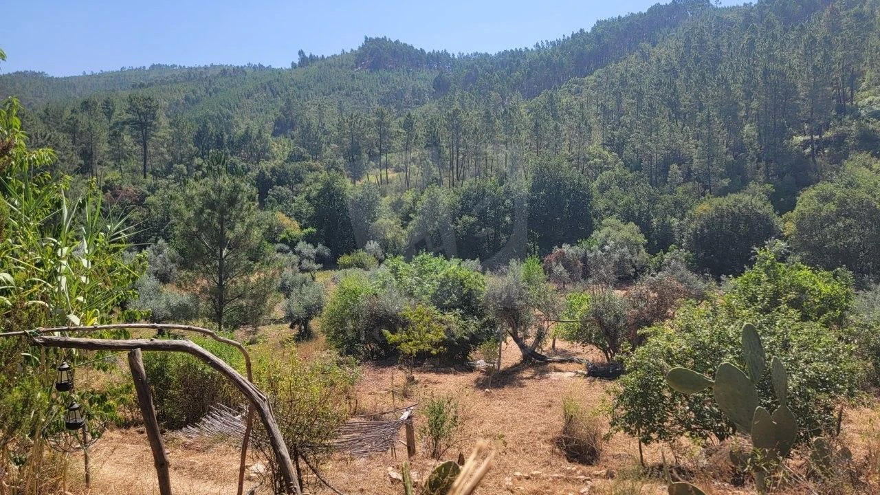 Terreno Agricola ou Rústico para Venda em Sarzedas Foto 35