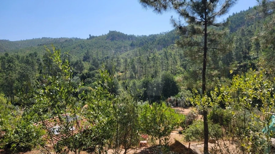 Terreno Agricola ou Rústico para Venda em Sarzedas Foto 33