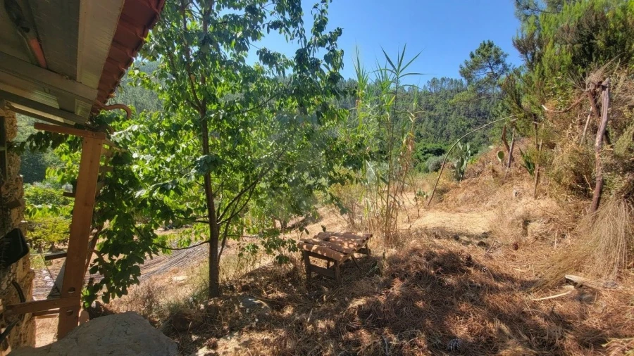 Terreno Agricola ou Rústico para Venda em Sarzedas Foto 30