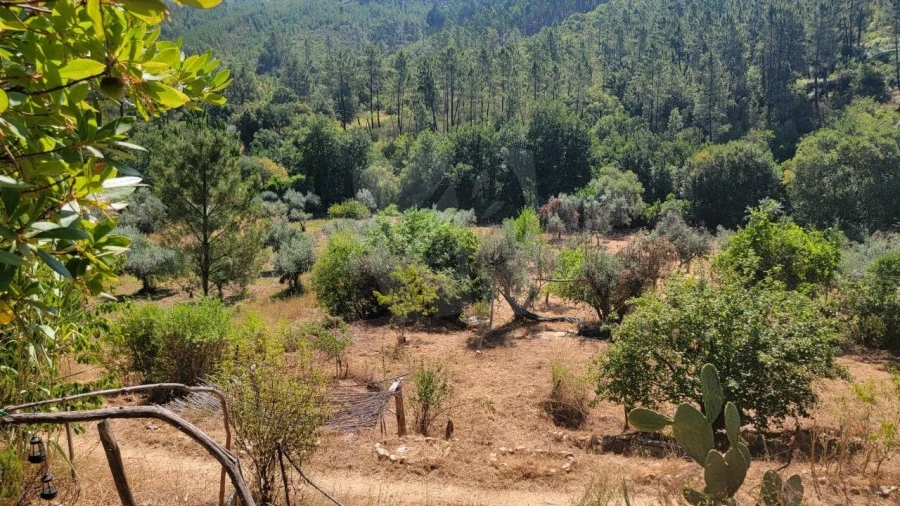 Terreno Agricola ou Rústico para Venda em Sarzedas Foto 34