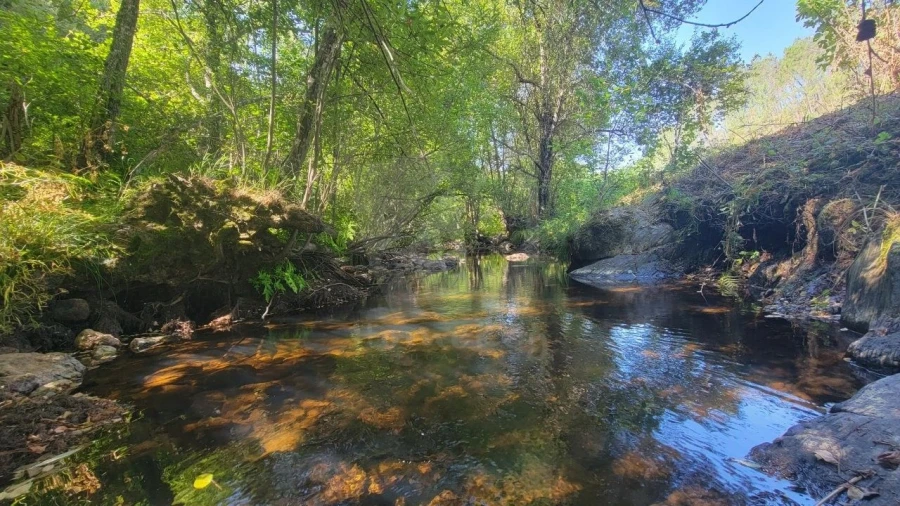 Terreno Agricola ou Rústico para Venda em Sarzedas Foto 2