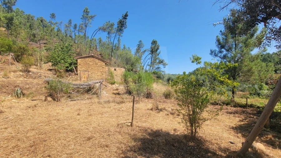 Terreno Agricola ou Rústico para Venda em Sarzedas Foto 19