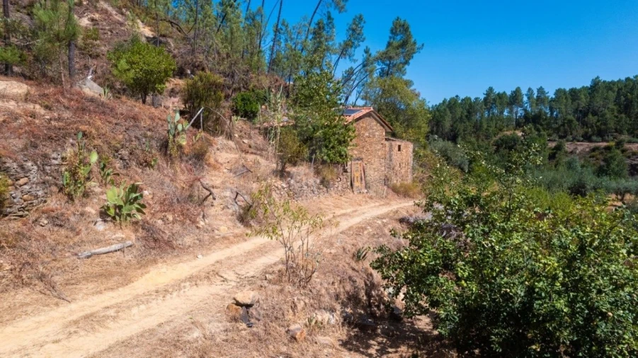Terreno Agricola ou Rústico para Venda em Sarzedas Foto 27