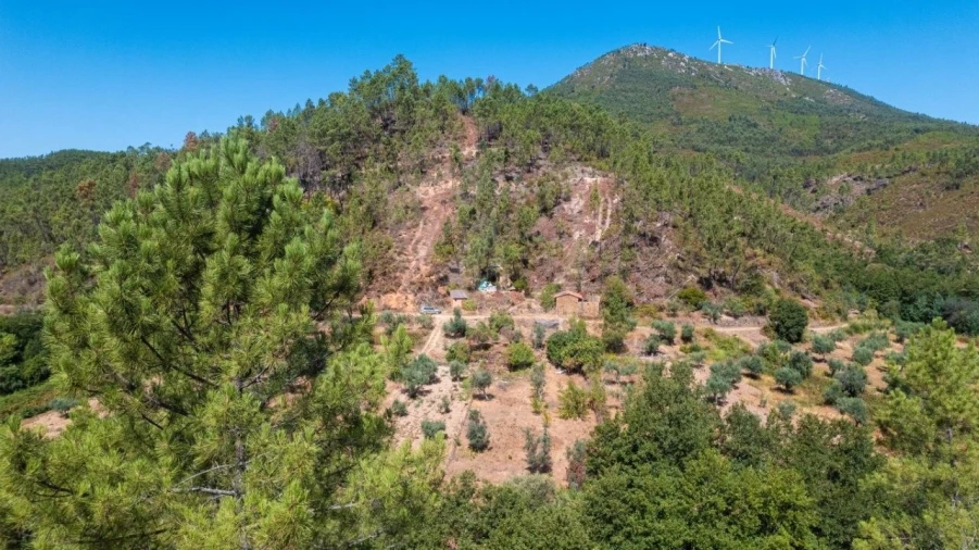 Terreno Agricola ou Rústico para Venda em Sarzedas Foto 3