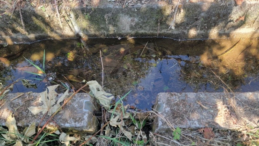 Terreno Agricola ou Rústico para Venda em Sarzedas Foto 16