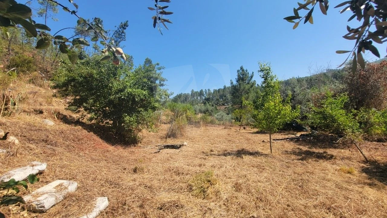 Terreno Agricola ou Rústico para Venda em Sarzedas Foto 22