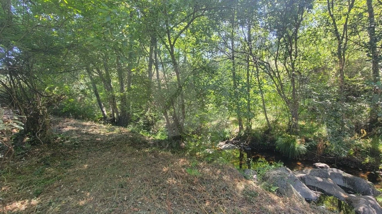 Terreno Agricola ou Rústico para Venda em Sarzedas Foto 7