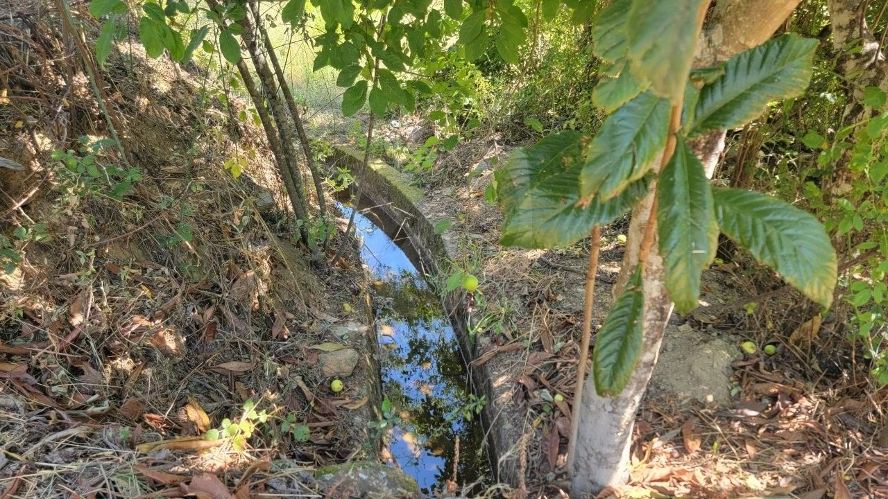 Terreno Agricola ou Rústico para Venda em Sarzedas Foto 15