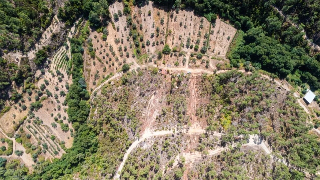 Terreno Agricola ou Rústico para Venda em Sarzedas Foto 40