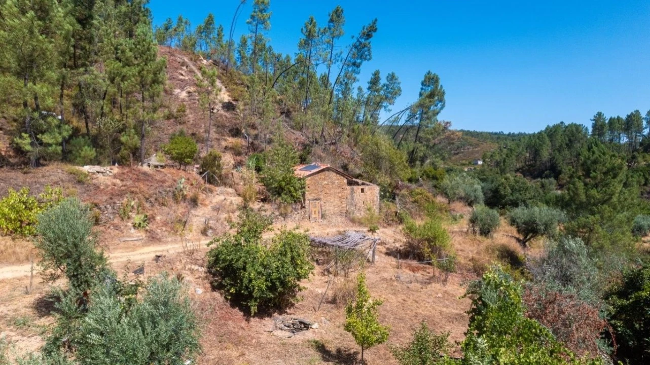 Terreno Agricola ou Rústico para Venda em Sarzedas Foto 1