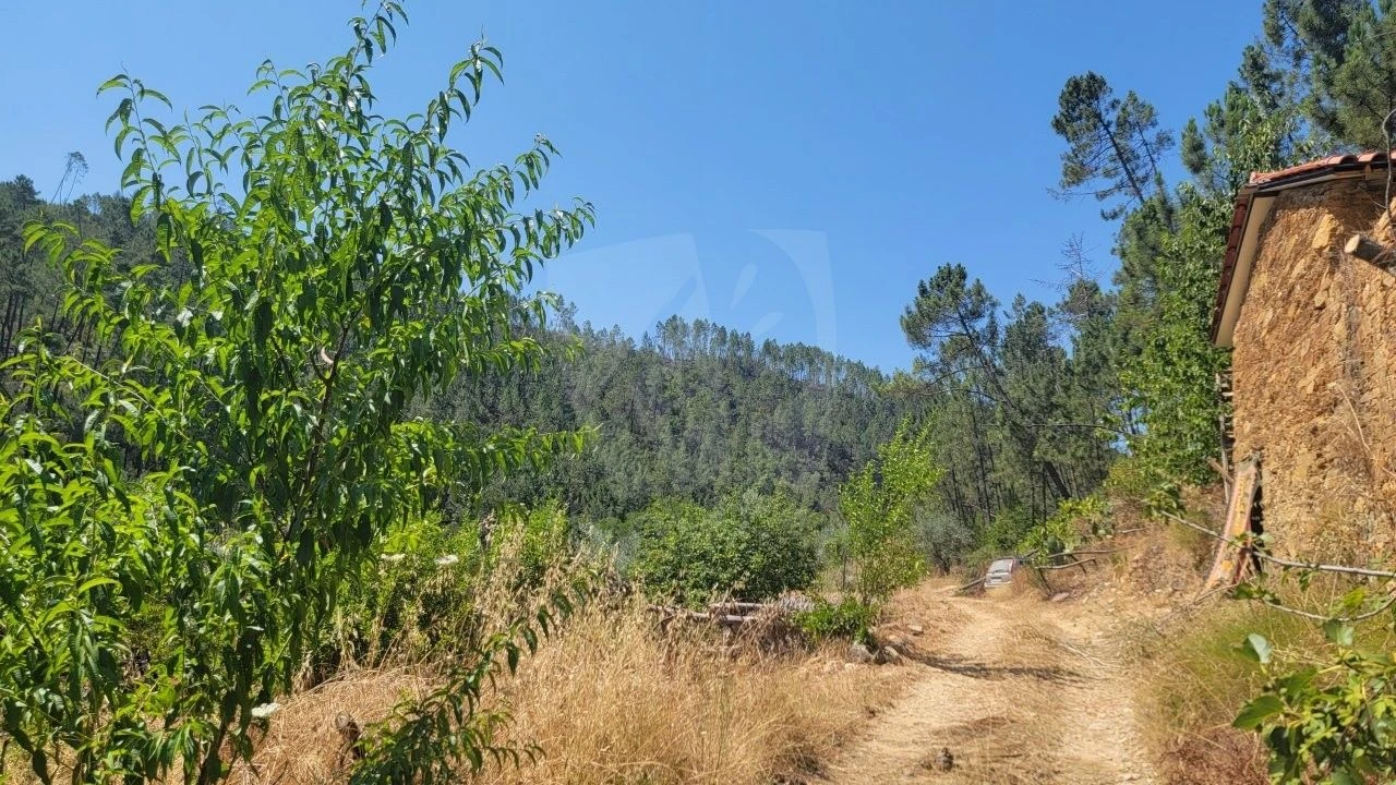 Terreno Agricola ou Rústico para Venda em Sarzedas Foto 25