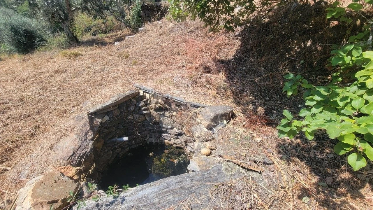 Terreno Agricola ou Rústico para Venda em Sarzedas Foto 38