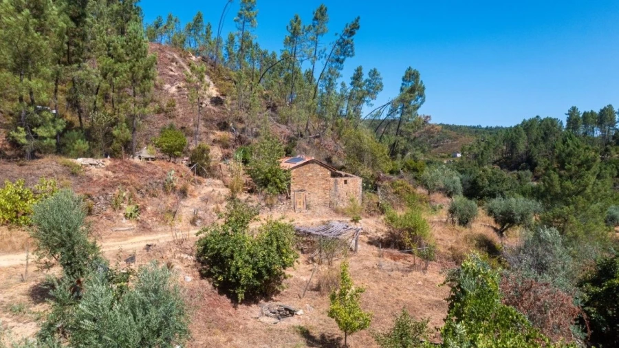 Terreno Agricola ou Rústico para Venda em Sarzedas