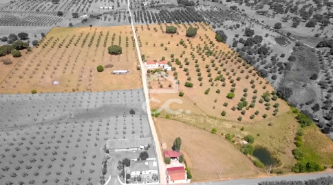 Quinta para Venda em Fronteira