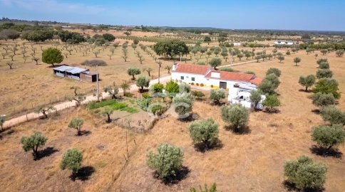 Quinta para Venda em Fronteira