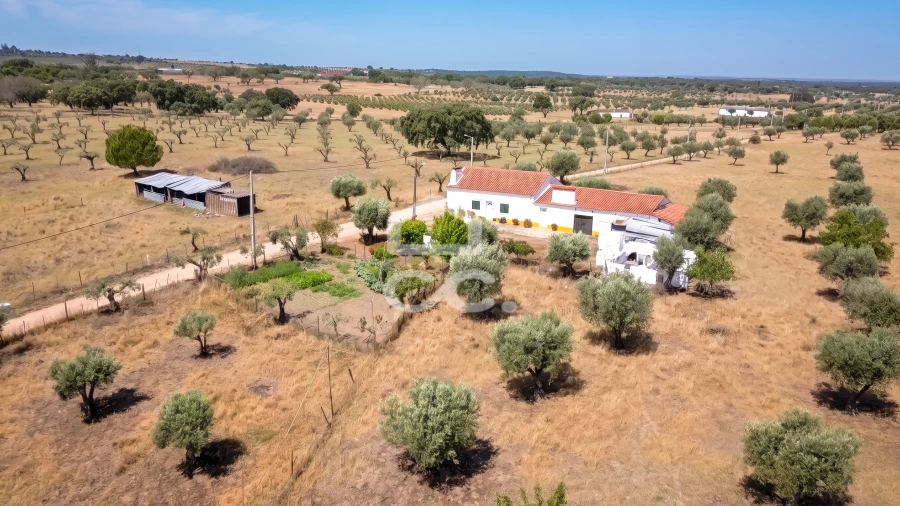 Quinta para Venda em Fronteira