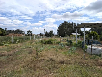 Terreno para Venda em São Bernardo
