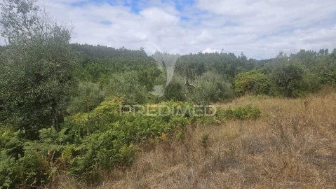 Moradia T9 para Venda em Nossa Senhora do Pranto