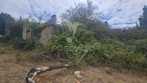 Moradia T9 para Venda em Nossa Senhora do Pranto