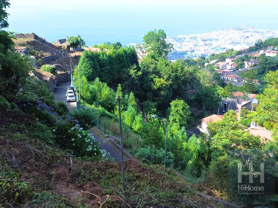 Terreno para Venda em Monte Foto 7