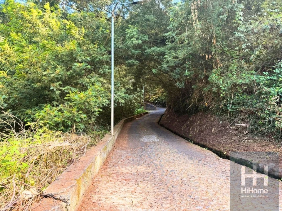 Terreno para Venda em Monte Foto 11