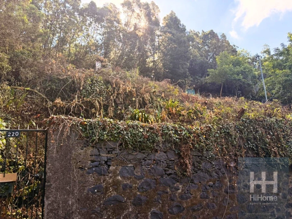 Terreno para Venda em Monte Foto 13
