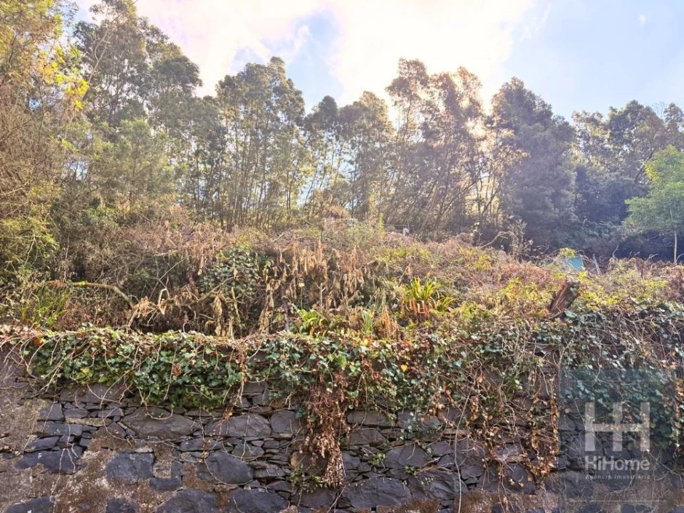 Terreno para Venda em Monte Foto 14