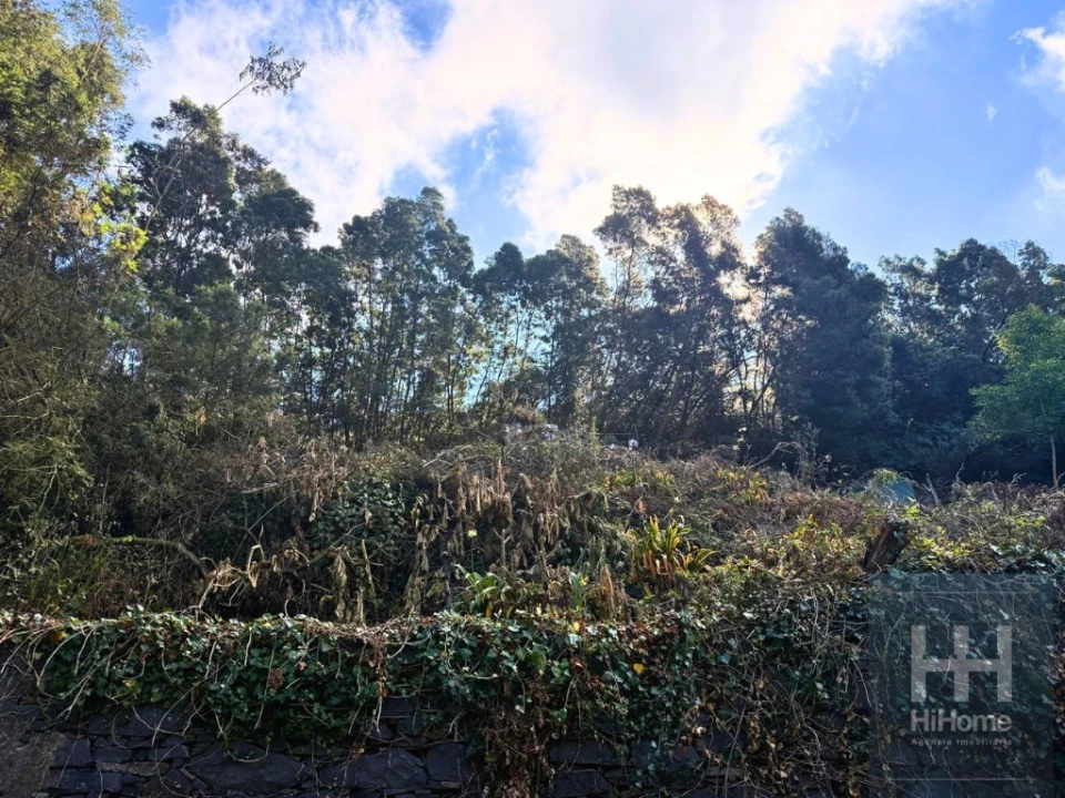 Terreno para Venda em Monte Foto 15