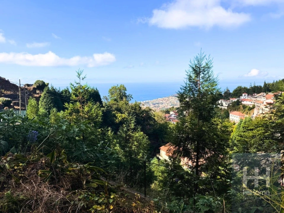 Terreno para Venda em Monte Foto 16