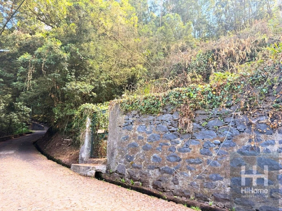 Terreno para Venda em Monte Foto 17