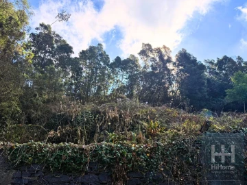 Terreno para Venda em Monte
