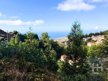 Terreno para Venda em Monte