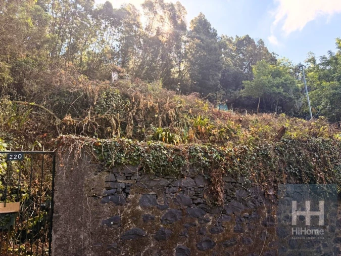 Terreno para Venda em Monte Foto 13