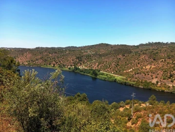 Terreno para Venda em Belver