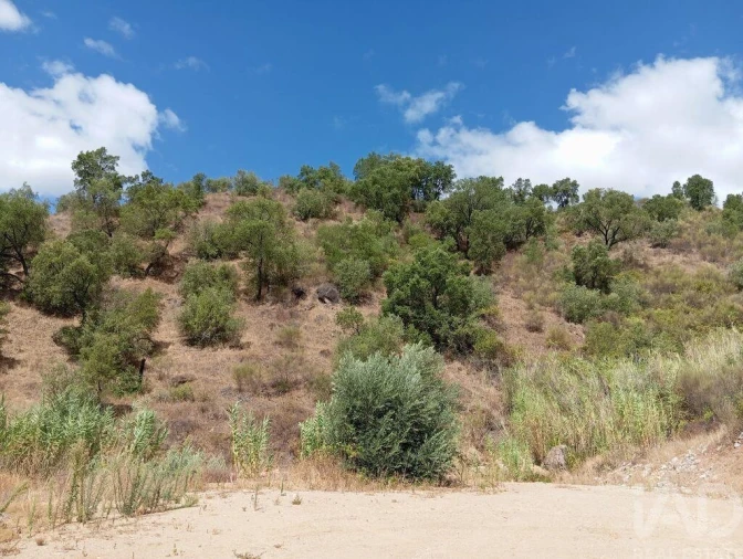 Terreno para Venda em Belver Foto 12