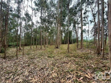Terreno para Venda em Sandim, Olival, Lever e Crestuma
