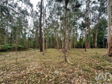 Terreno para Venda em Sandim, Olival, Lever e Crestuma