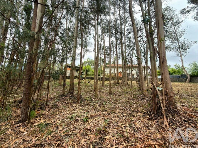 Terreno para Venda em Sandim, Olival, Lever e Crestuma Foto 11