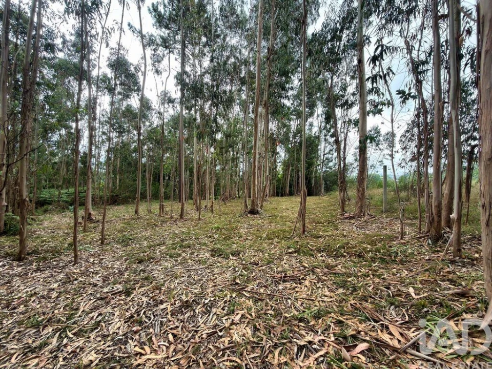 Terreno para Venda em Sandim, Olival, Lever e Crestuma Foto 8