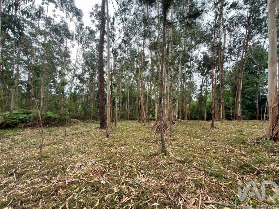 Terreno para Venda em Sandim, Olival, Lever e Crestuma Foto 7