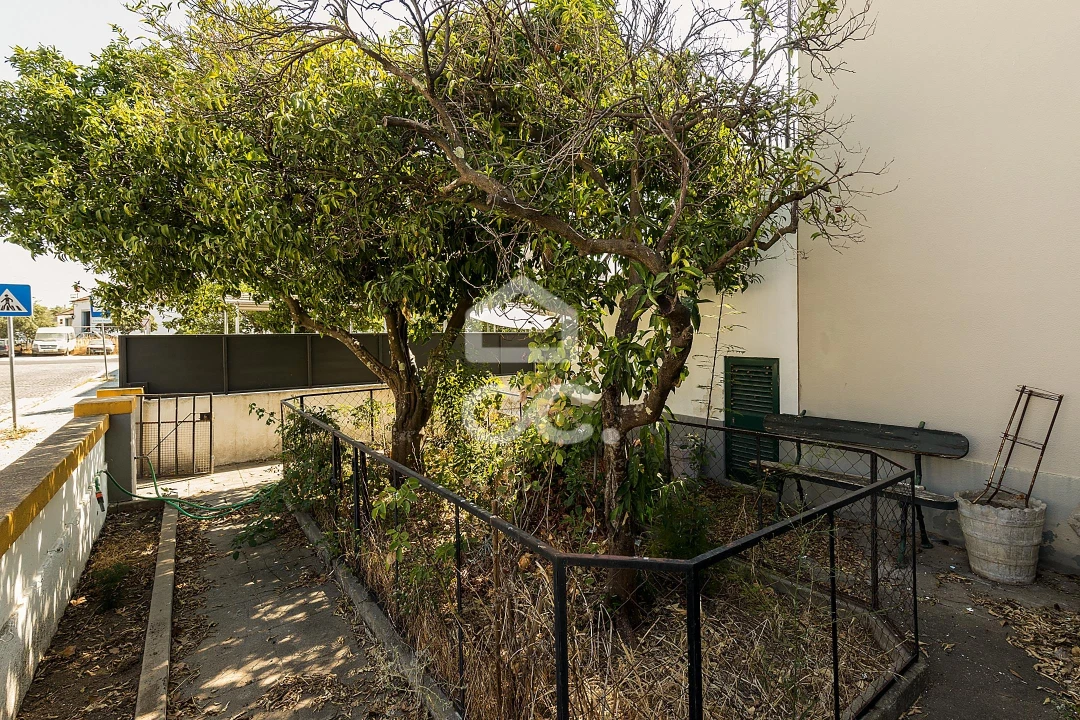 Moradia T4 para Venda em Malagueira e Horta das Figueiras Foto 29