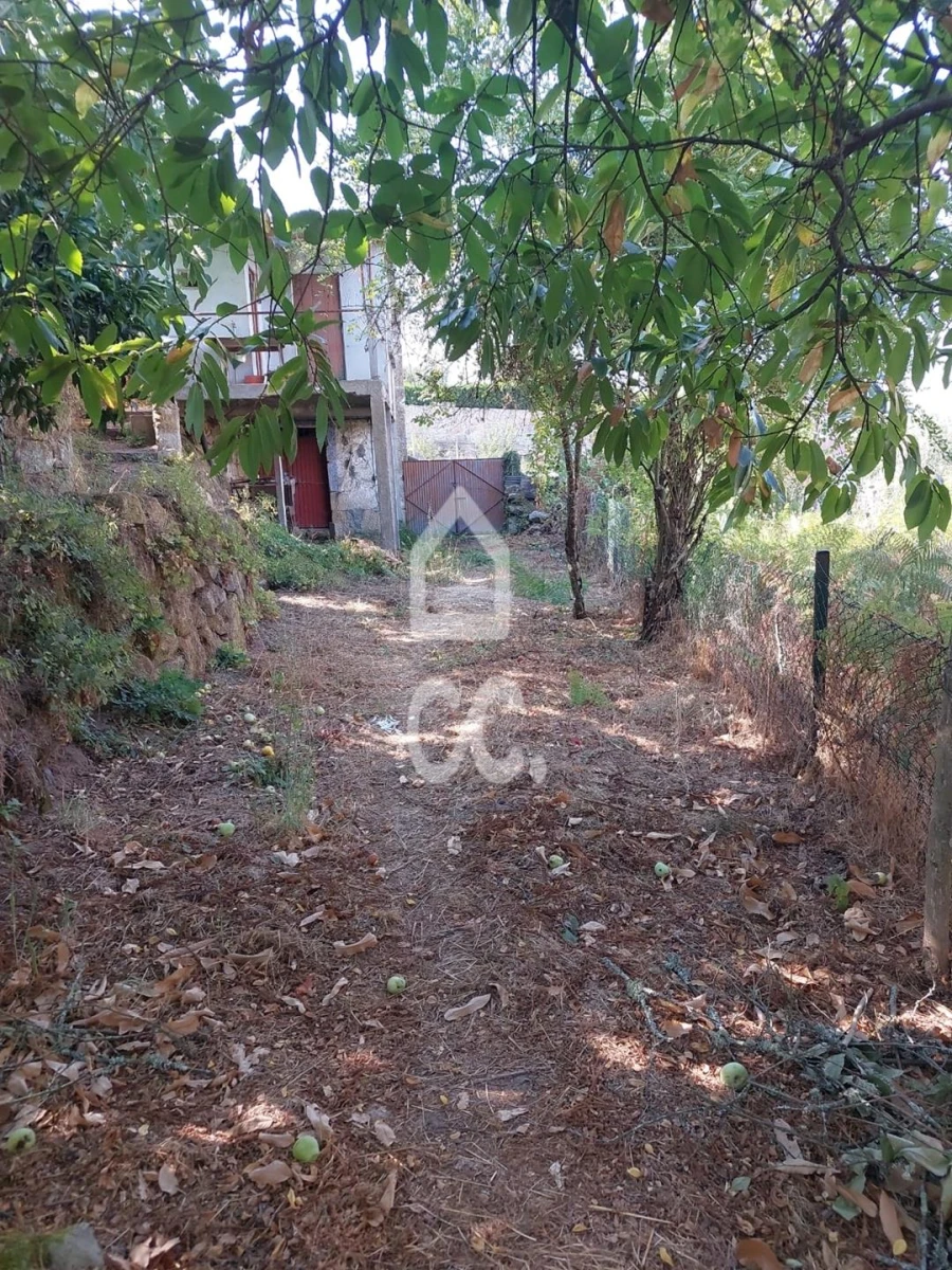Moradia T3 para Venda em Fataunços e Figueiredo das Donas Foto 14