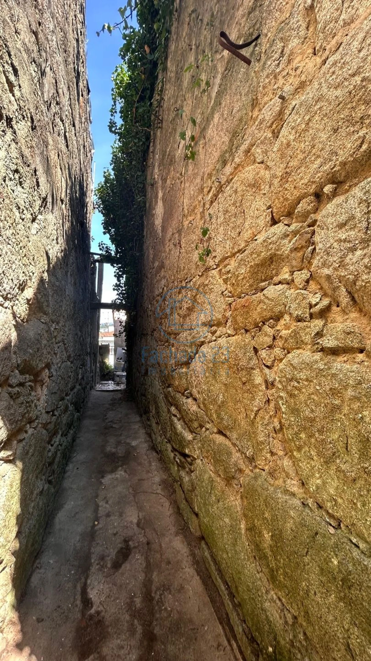 Moradia para Venda em Campanhã Foto 5
