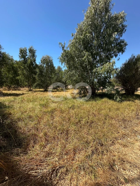 Terreno para Venda em Alvor