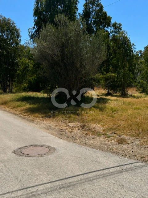 Terreno para Venda em Alvor