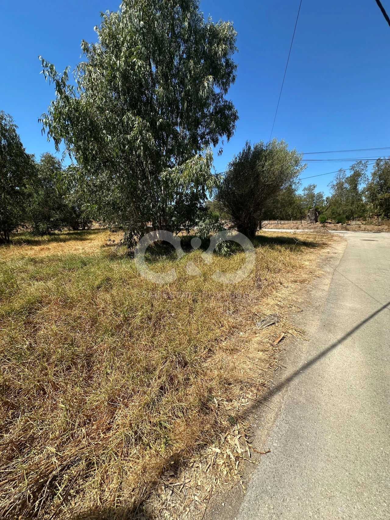 Terreno para Venda em Alvor Foto 3